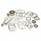 Ingersoll-Rand-70241955AS01-Overhaul-Kit.jpg
