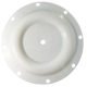 diaphragm-ptfe.jpg